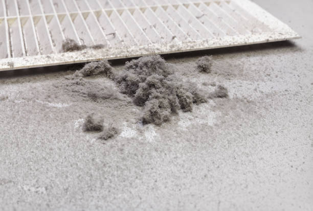 Best Ventilation Cleaning Services  in Southgate, MI