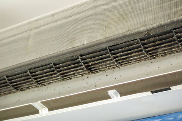 Best Affordable HVAC Duct Cleaning  in Southgate, MI